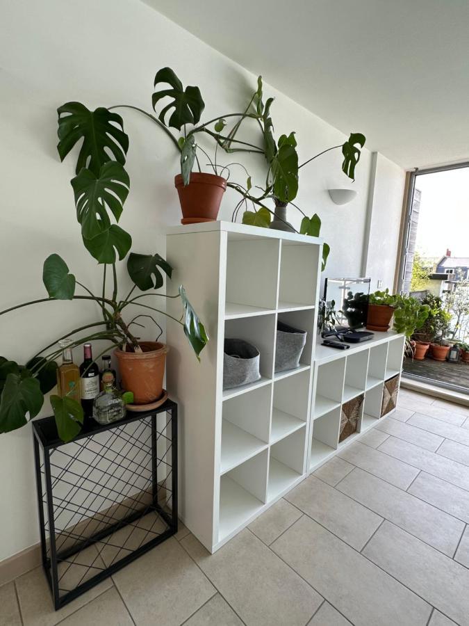 Bright And Airy Islington Apartment ลอนดอน ภายนอก รูปภาพ